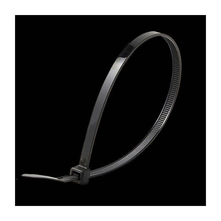 COLLIER NYLON 4.8 X200 NOIR  X 100