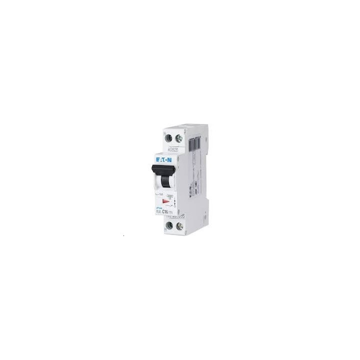 Disjoncteur PH+N 10A