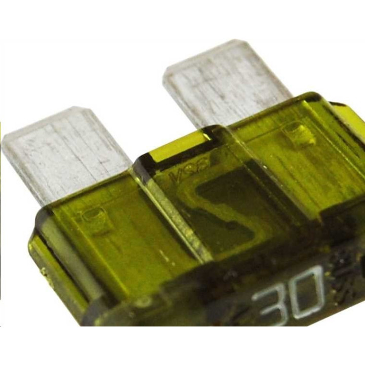 Boîte 100 fusibles languettes 30A