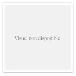 Kit broyeur + moteur pompe 12V