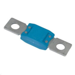 MEGA-fuse 100A/80V (package of 5 pc