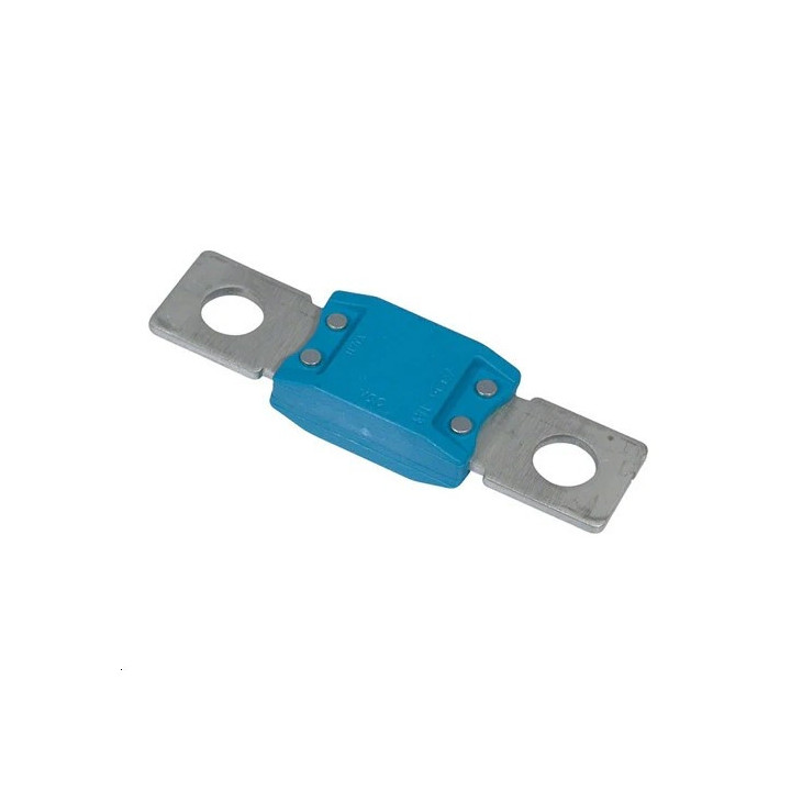 MEGA-fuse 100A/80V (package of 5 pc