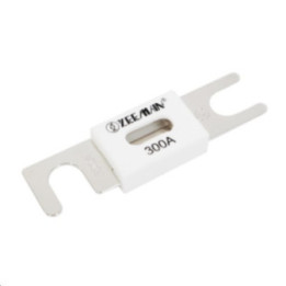 ANL-fuse 300A/80V (package of 5 pcs