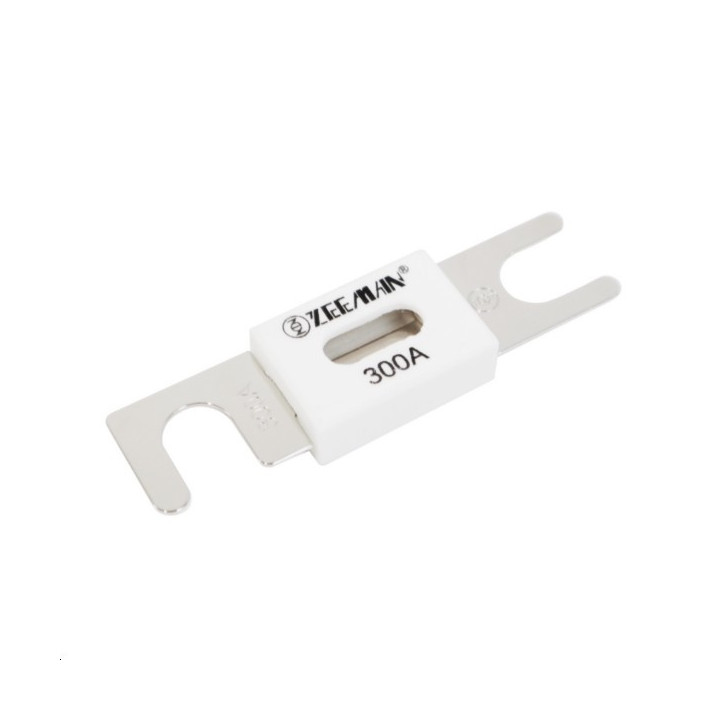 ANL-fuse 300A/80V (package of 5 pcs