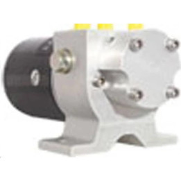 Pompe réversible T1 - 12v