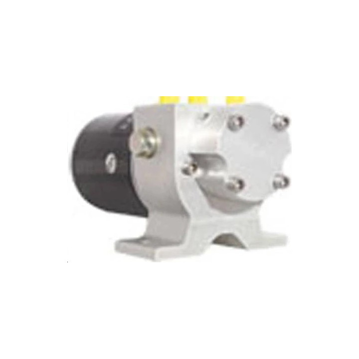 Pompe réversible T1 - 12v