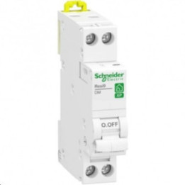 DISJONCTEUR XP 1P+N 10A