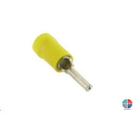 Cosse pointe jaune