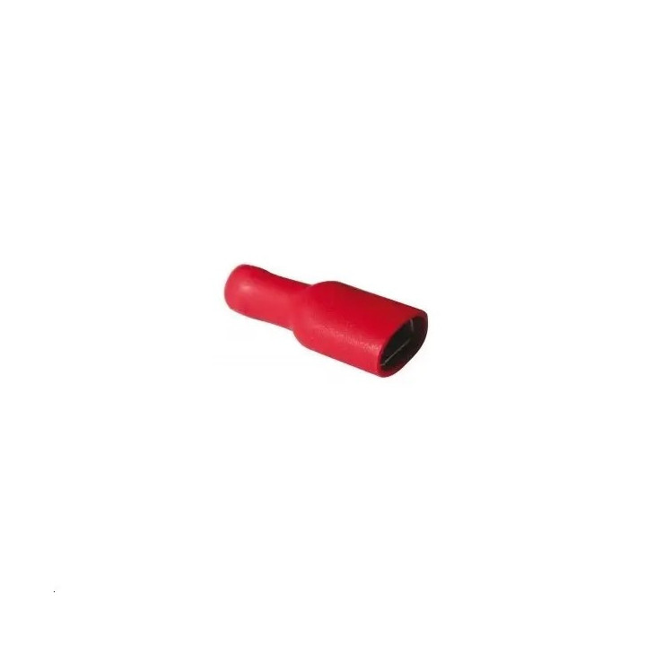 Cosse femelle isolee rouge