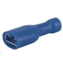 Cosse femelle isolee bleue
