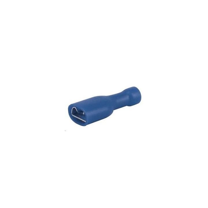 Cosse femelle isolee bleue