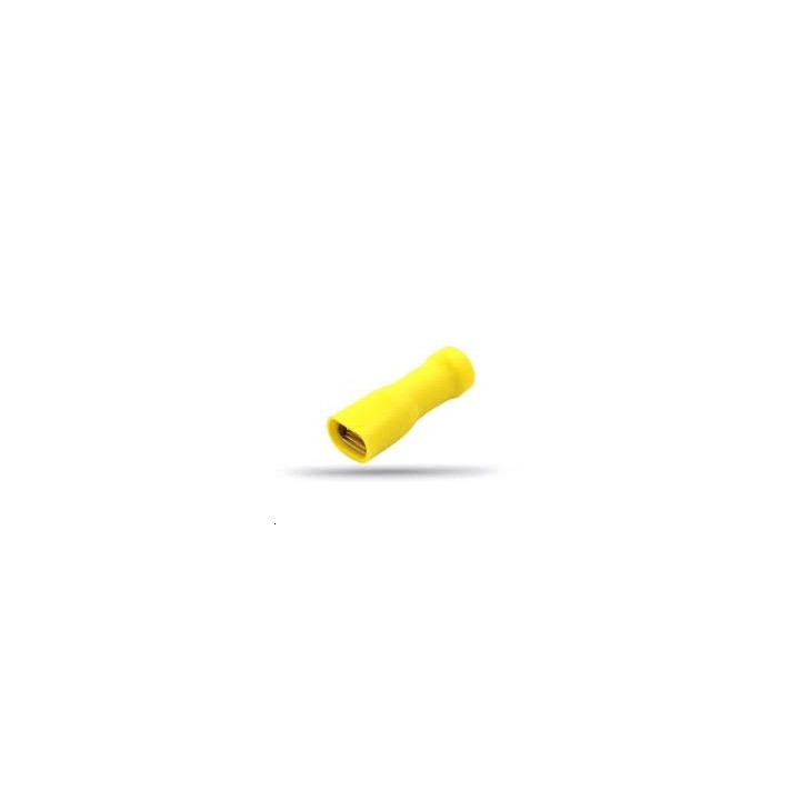 Cosse femelle isolee jaune