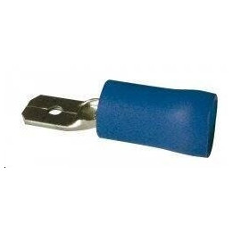 Cosse male bleue