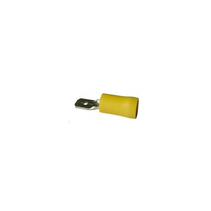 Cosse male jaune