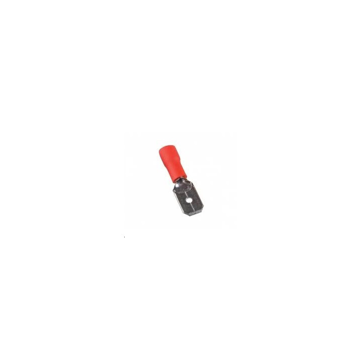 Cosse male rouge thermoretract
