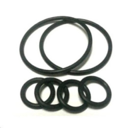 02004009A - KIT ORING MANIFOLD HRO