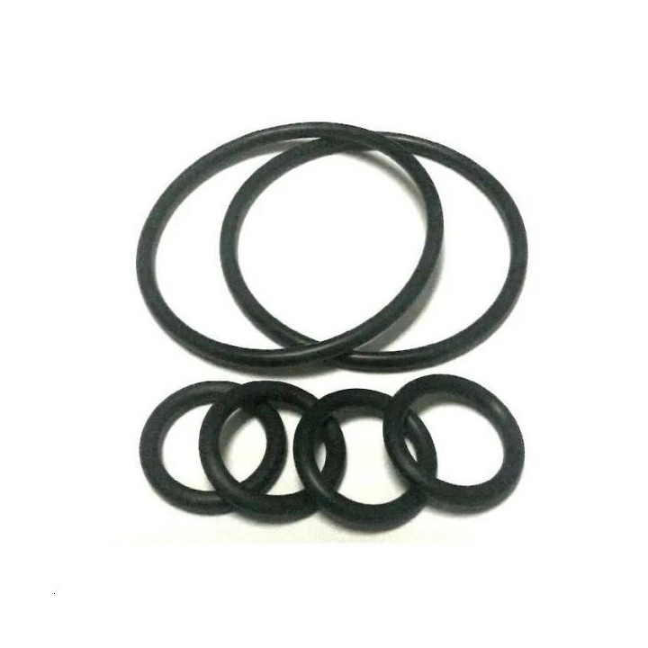 02004009A - KIT ORING MANIFOLD HRO