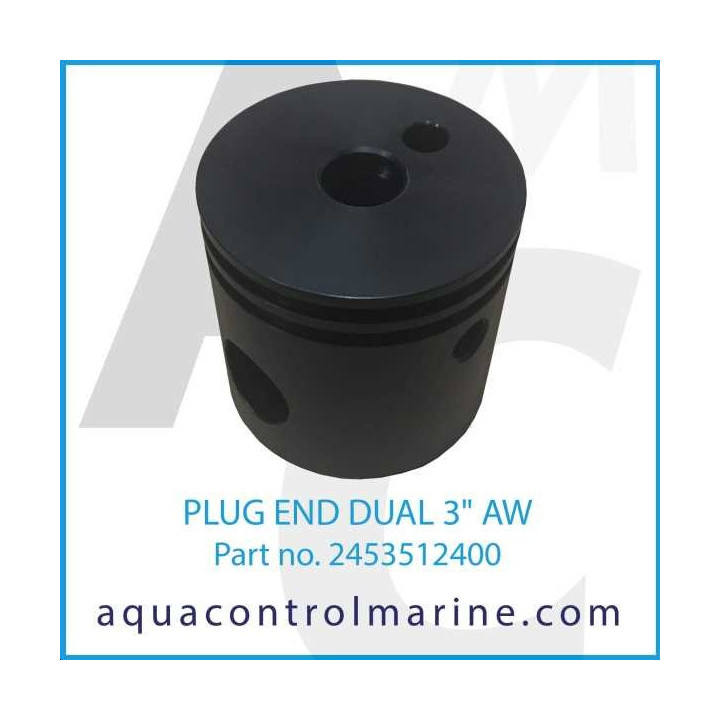 """F10605 END PLUG3"""" DUAL (24535